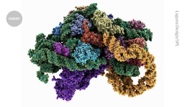 Cells, who needs them? Biochemists turn to proteins in a tube