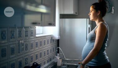 How pregnancy reshapes the brain throughout life