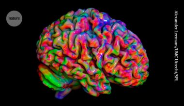Huge mapping study reveals how your brain tracks what your body is feeling