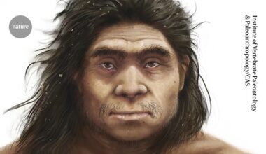 This is what the mysterious Denisovans looked like