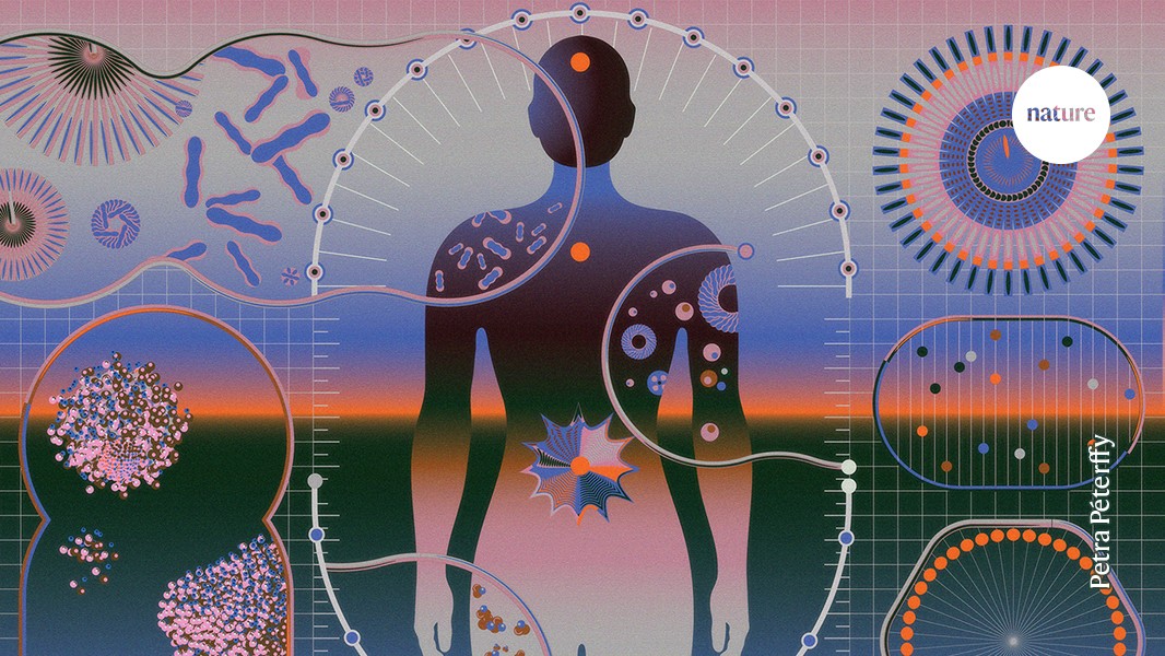 Could measuring immune health reshape medical care?