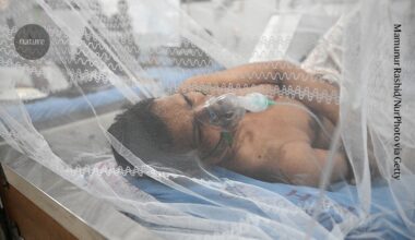 Dengue comes back even in vaccinated people — new clues