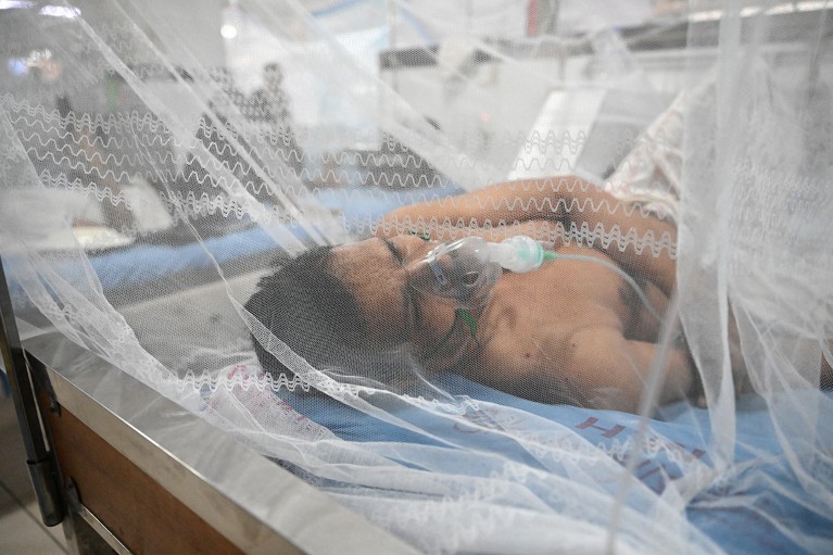 A bare chested male patient, covered with a mosquito net, laying on a hospital bed and with an oxygen mask, being treated for dengue fever.