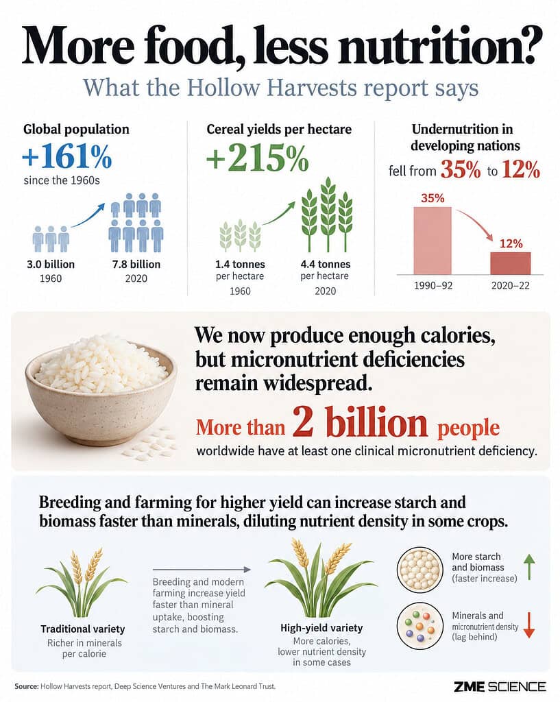Infographic describing how the world ended up with less starvation but abundant micronutrient deficiency