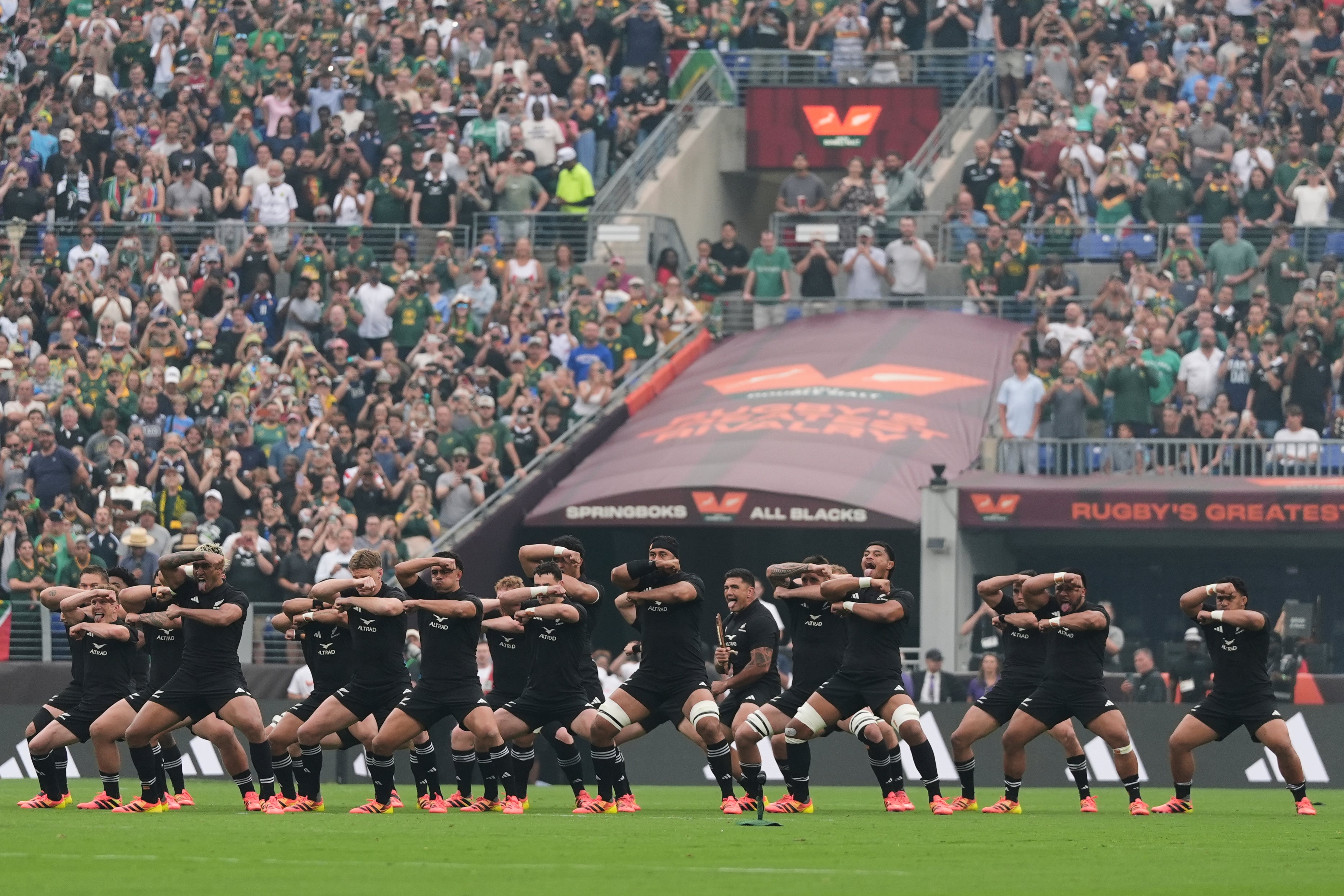New Zealand have shown encouraging signs under Dave Rennie