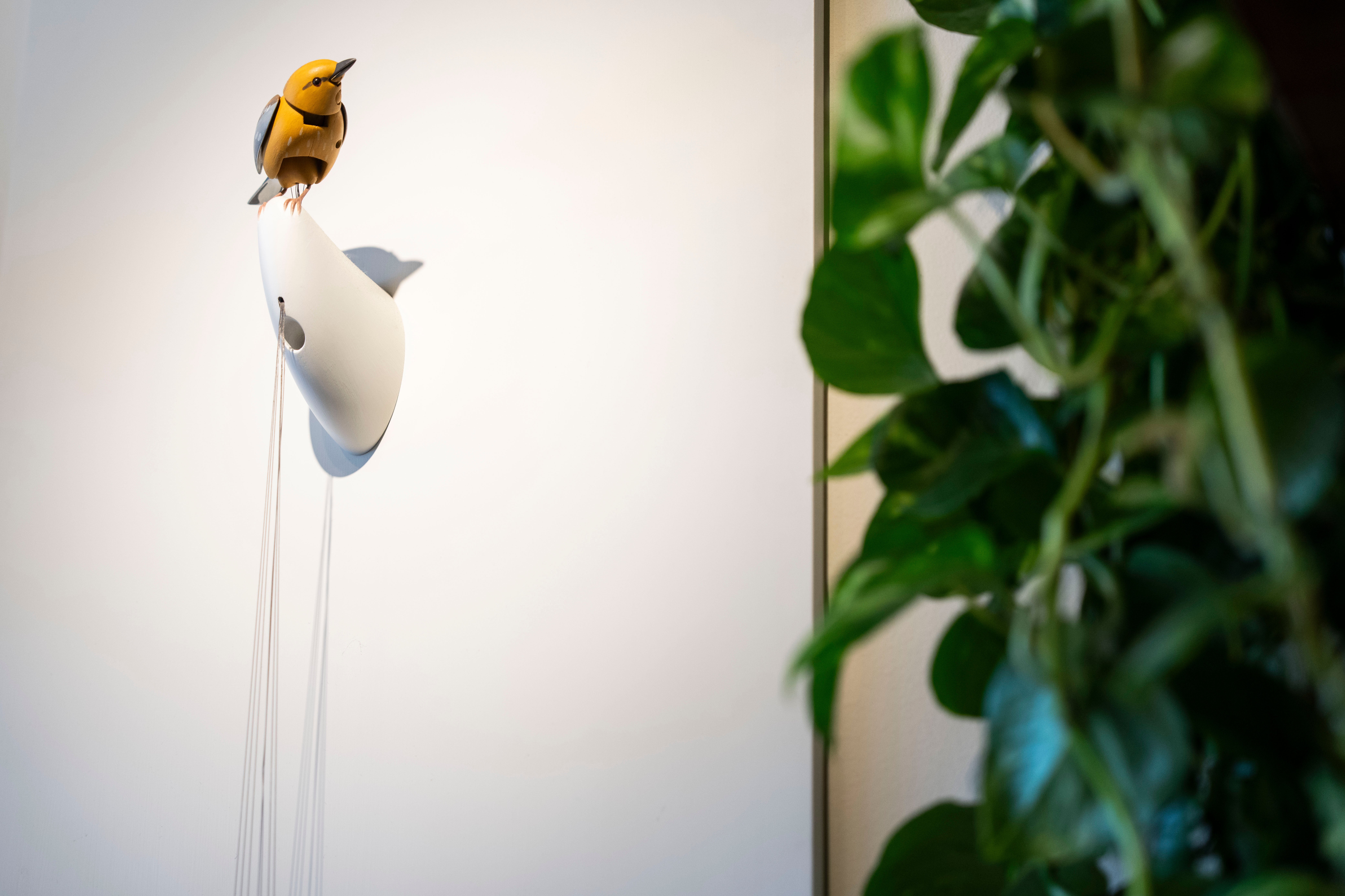 Molly, a singing and dancing mechanical bird created by artist Bliss Kolb, has found itself at the center of the online furore