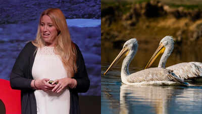 Meet Sacha Dench, the ‘Human Swan’ who helped secure a historic ban on lead ammunition in Britain and won the prestigious 2026 RSPB Medal; the move could protect hundreds of thousands of birds from lead poisoning