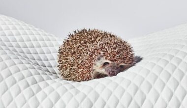 Can't Fit in a Workout? 10 Minutes of Movement May Still Help Your Sleep