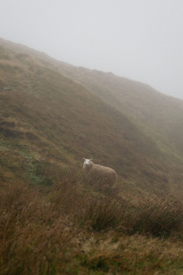 bikepacking wales