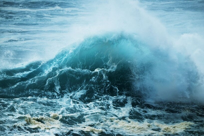 ‘we are all marine animals, we just forgot’: photographer enzo barracco at the ocean&climate village - 3