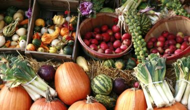 The 12 healthiest autumn fruit and veg to eat now, according to dietitians - Good Housekeeping