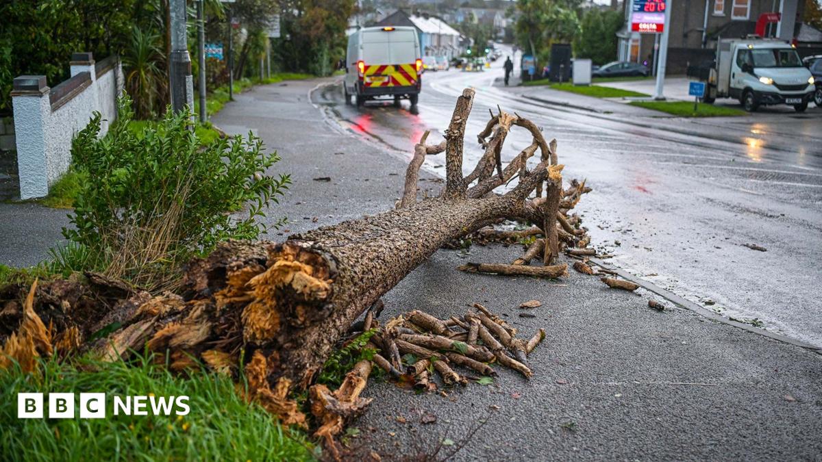 Storm Austen brings 84mph wind gusts as thousands of UK homes without power