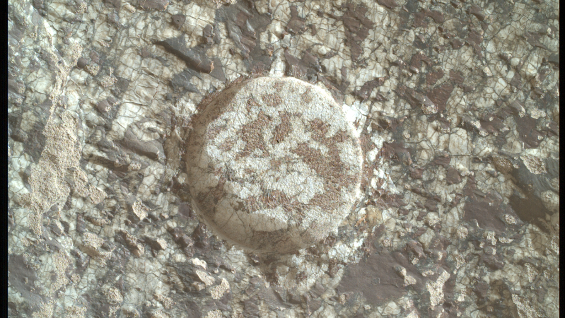 NASA's Mars Perseverance rover acquired this image using its SHERLOC WATSON camera, located on the turret at the end of the rover's robotic arm.