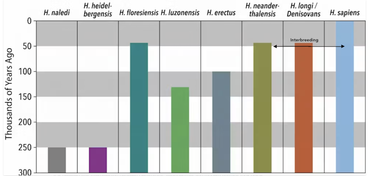 Graphic showing which human species were alive when in the past 300,000 years