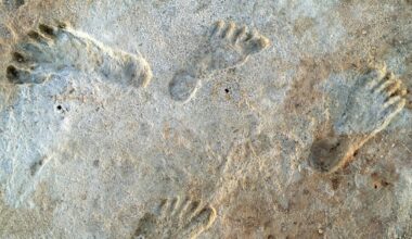 Early humans in America endured climate chaos – new research