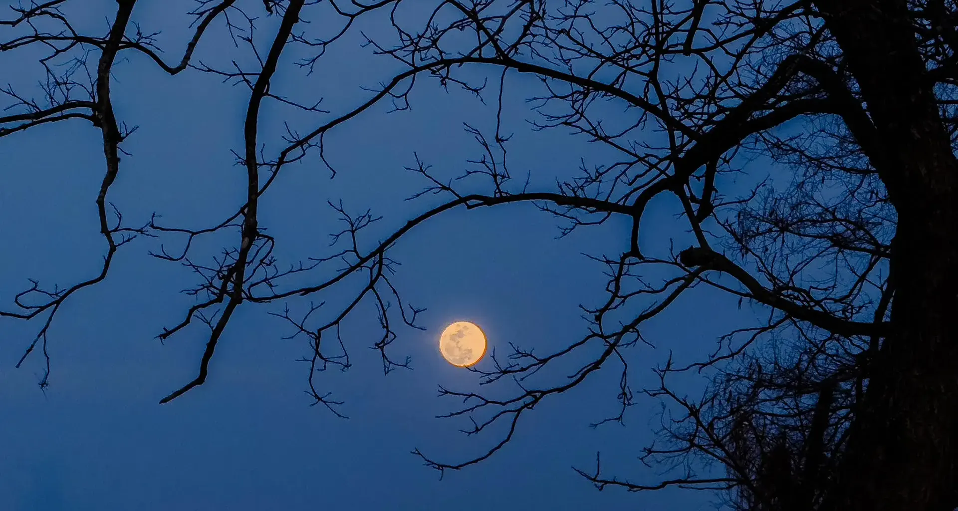 October’s night sky is full of cosmic tricks and treats