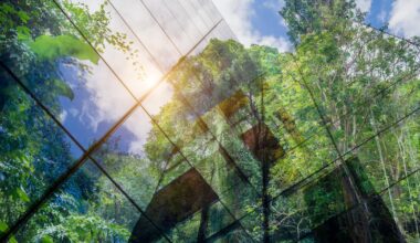 ‘Comply or explain’ approach taken to UK sustainability reporting standards