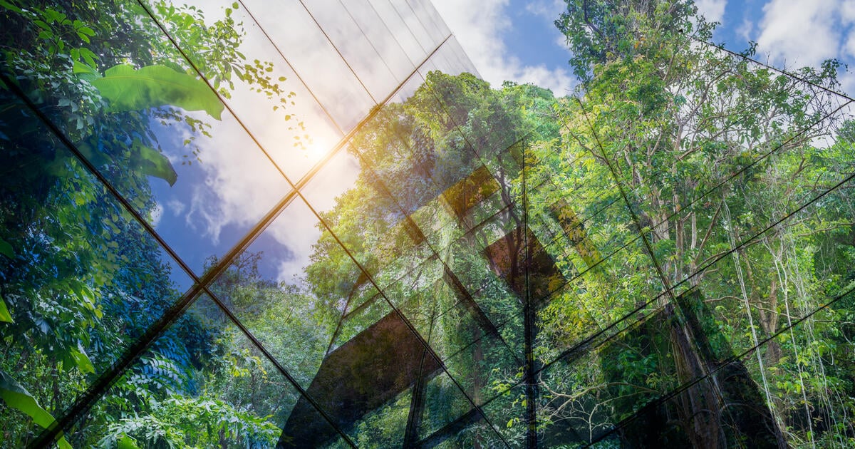 ‘Comply or explain’ approach taken to UK sustainability reporting standards