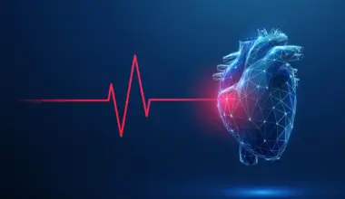Exercise doesn't just strengthen your heart. It rewires it