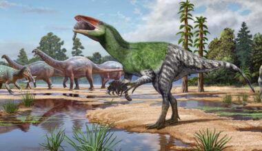 New Species of Predatory Dinosaur Identified in UK