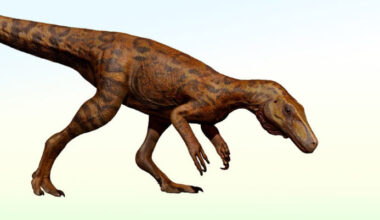 Early Predatory Dinosaurs Survived Shift in Their Ecosystem, Fossil Fragment Suggests