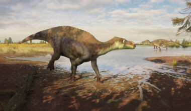 New Species of Iguanodontian Dinosaur Discovered in England