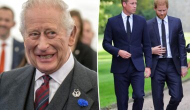 How King Charles plans to 'heal the rift' between sons Prince William, Prince Harry: report