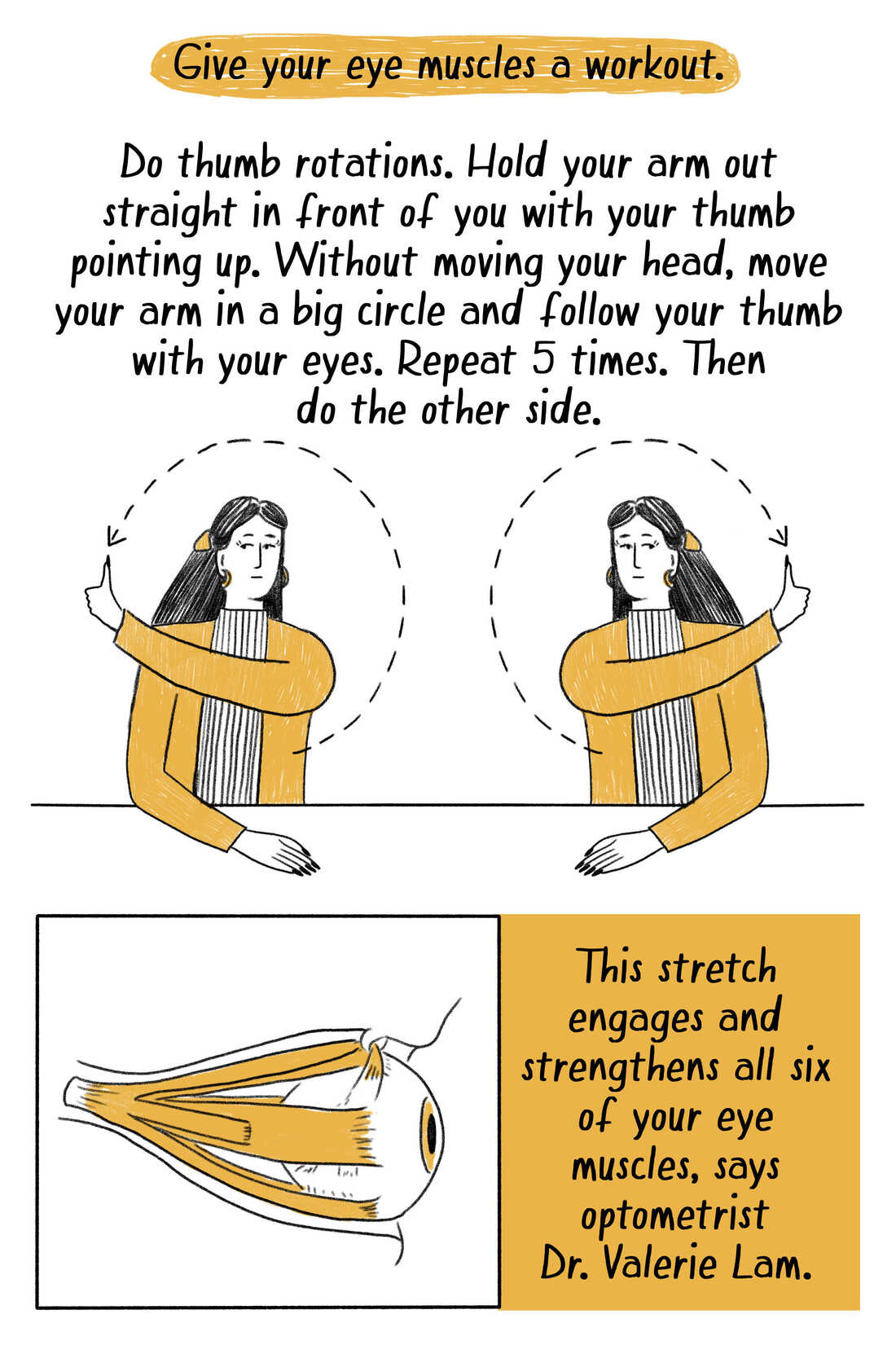 Comic illustrating a woman doing "thumb circle" eye exercises and an illustration that shows the muscles in the eye. The text reads: "Give your eye muscles a workout. Do thumb rotations. Hold your arm out straight in front of you with your thumb pointing up. Move your arm in a big circle and follow your thumb with your eyes. Repeat 5 times. Then do the other side ..."