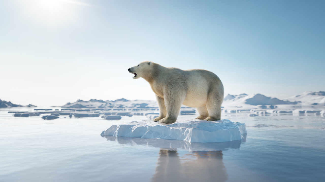 Melting ice caps in the Arctic region. Melting ice caps in the Arctic region