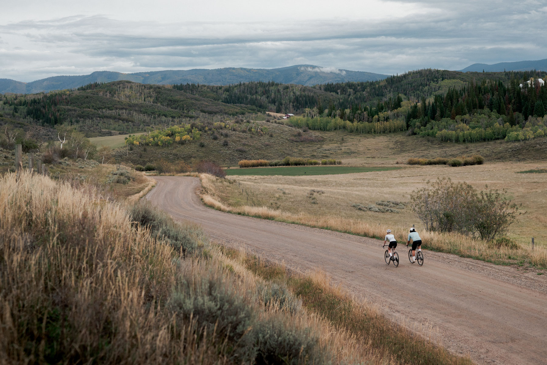 The new Moots County Line