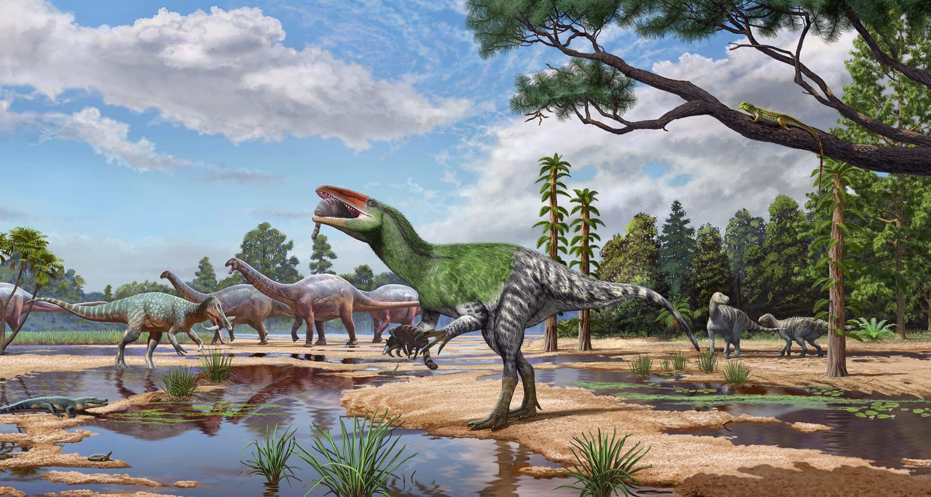 An artist’s illustration of a new theropod dinosaur with a green upper body and black and white rear, Invictibellatrix amberina, in a floodplain ecosystem on the Isle of Wight.  In the background, sauropods, iguanodontians and a spinosaur can be seen.