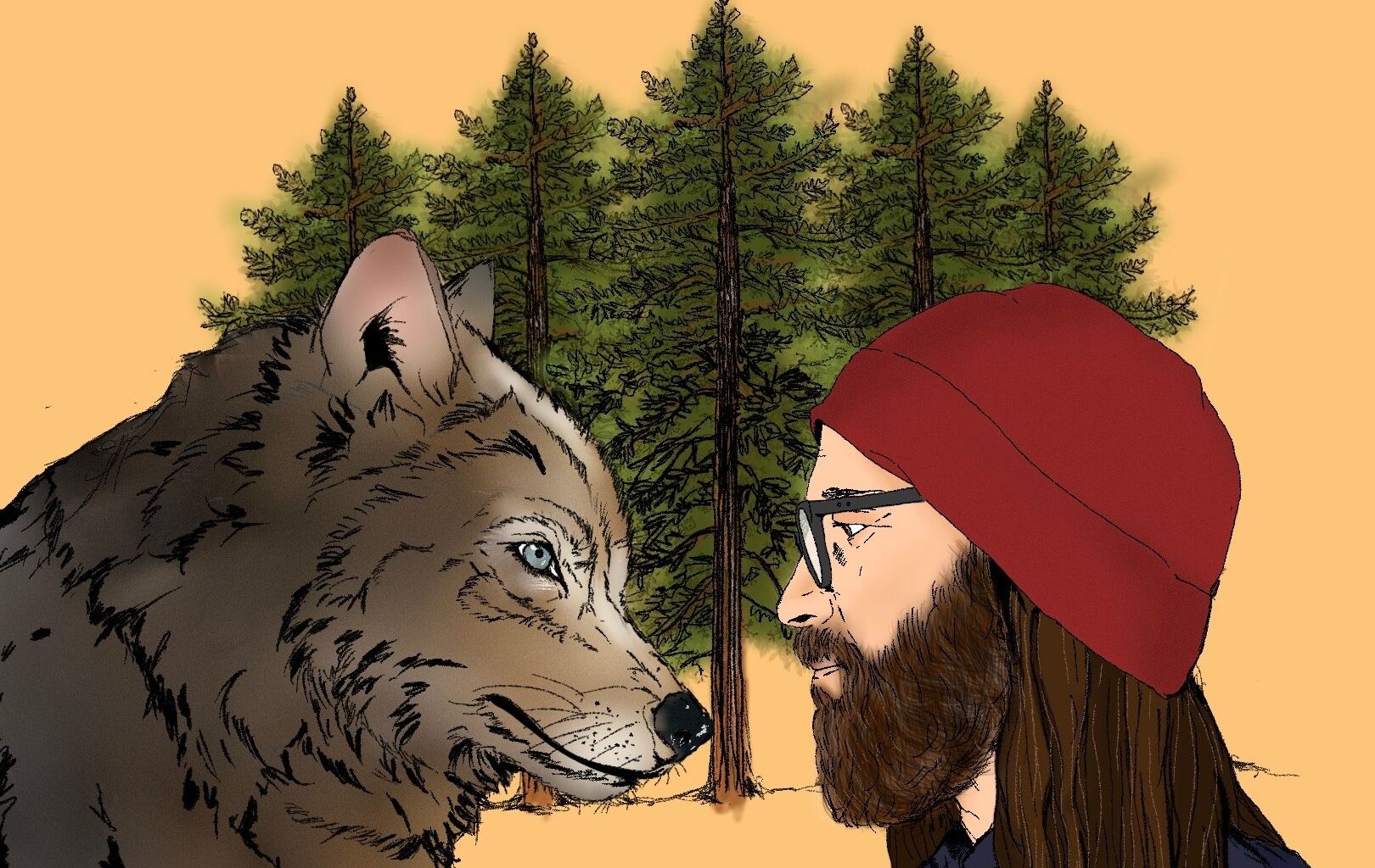 Wolf encounter: A photographer on what humans have lost | Wildlife