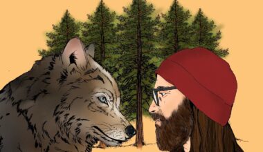 Wolf encounter: A photographer on what humans have lost | Wildlife