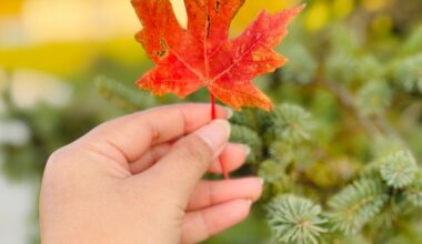 Your SAD Toolkit: Preventing Seasonal Depression This Winter