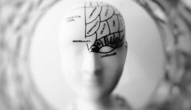 Neuroscience Essentials: Chudler's "Neuropedia" Reviewed