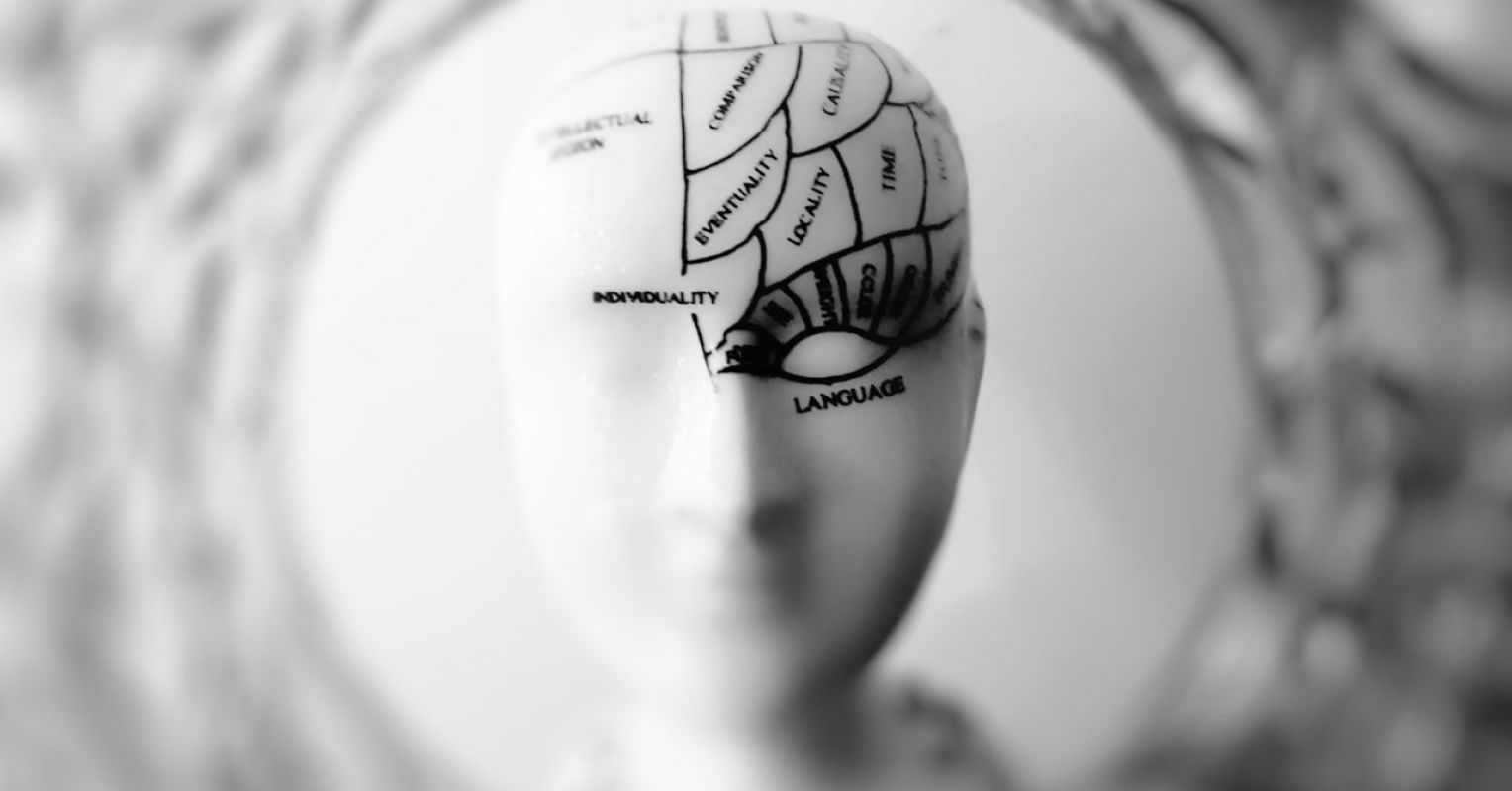 Neuroscience Essentials: Chudler's "Neuropedia" Reviewed