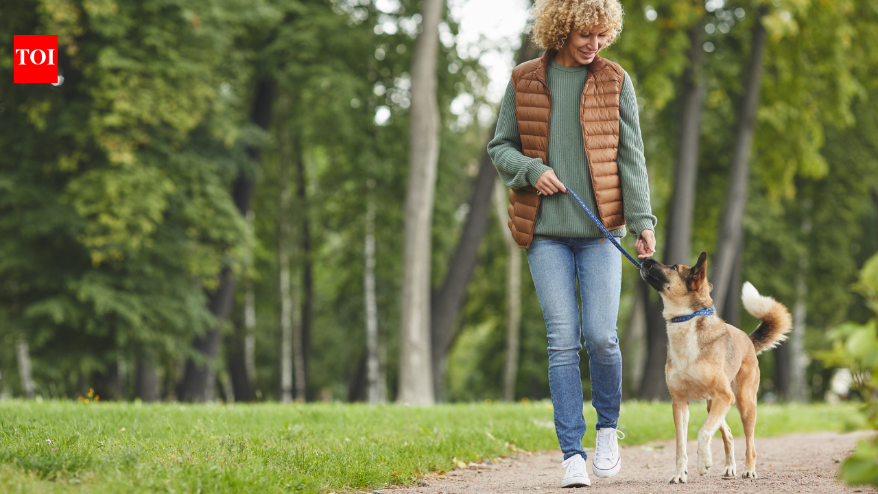 Walking is great after 50, but it does not work every muscle: Physiotherapist suggests these 4 exercises for better strength