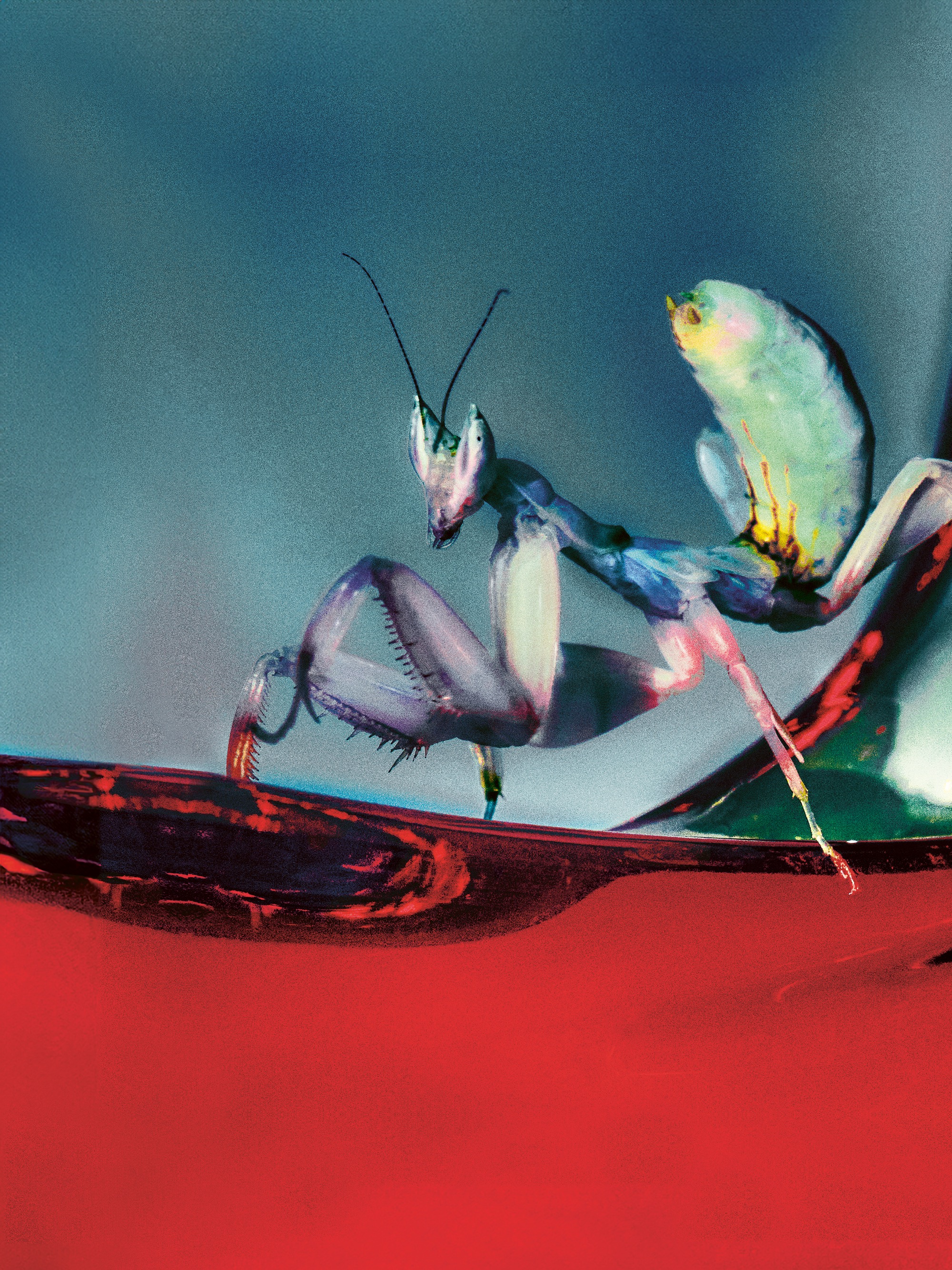 a saturated photo by Elizaveta Porodina of an insect