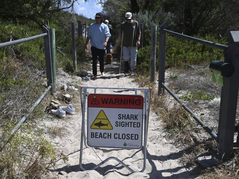 The WA government has announced an additional $5 million to boost shark hazard mitigation measures. Photo: Aaron Bunch/AAP PHOTOS