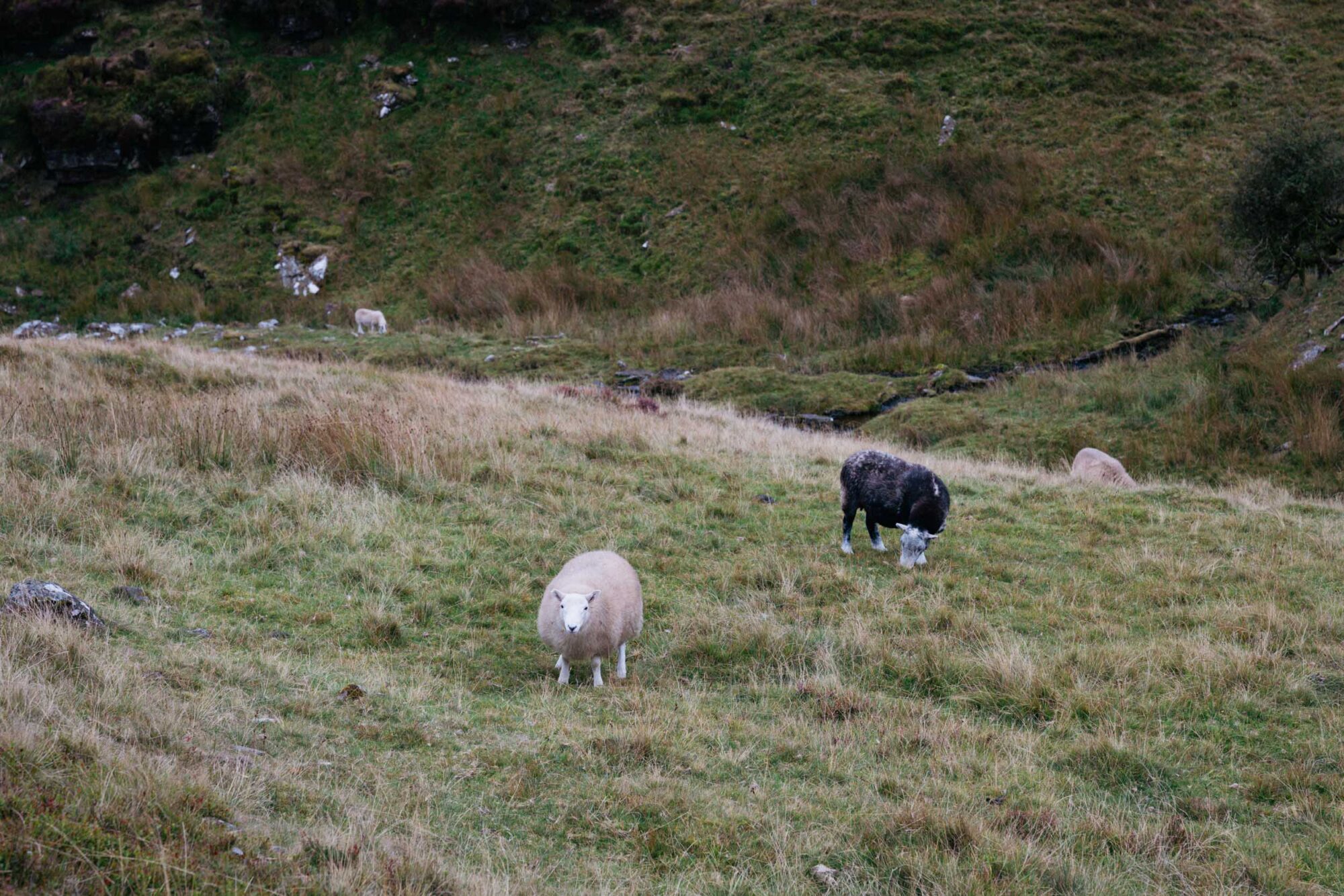 bikepacking wales