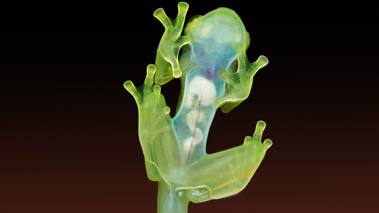 Everything Is Strange: Embracing Nature’s Oddity