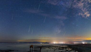 How to see the Orionid meteor shower 2026 peak this week — and when to look