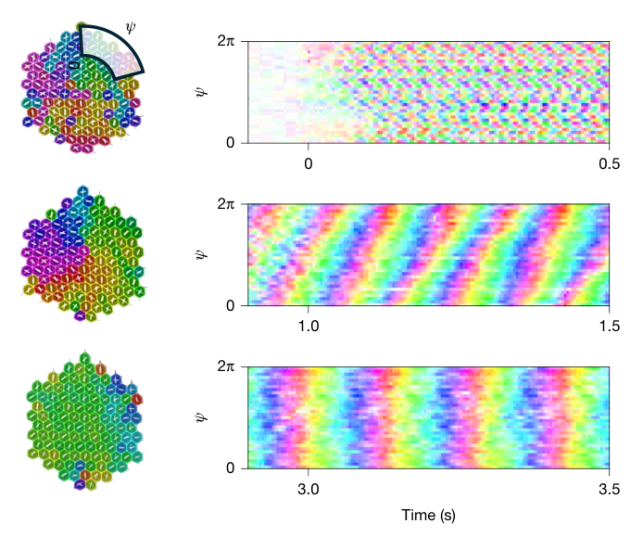 A Strange New Time Crystal Emerges From Synchronized Vibrations