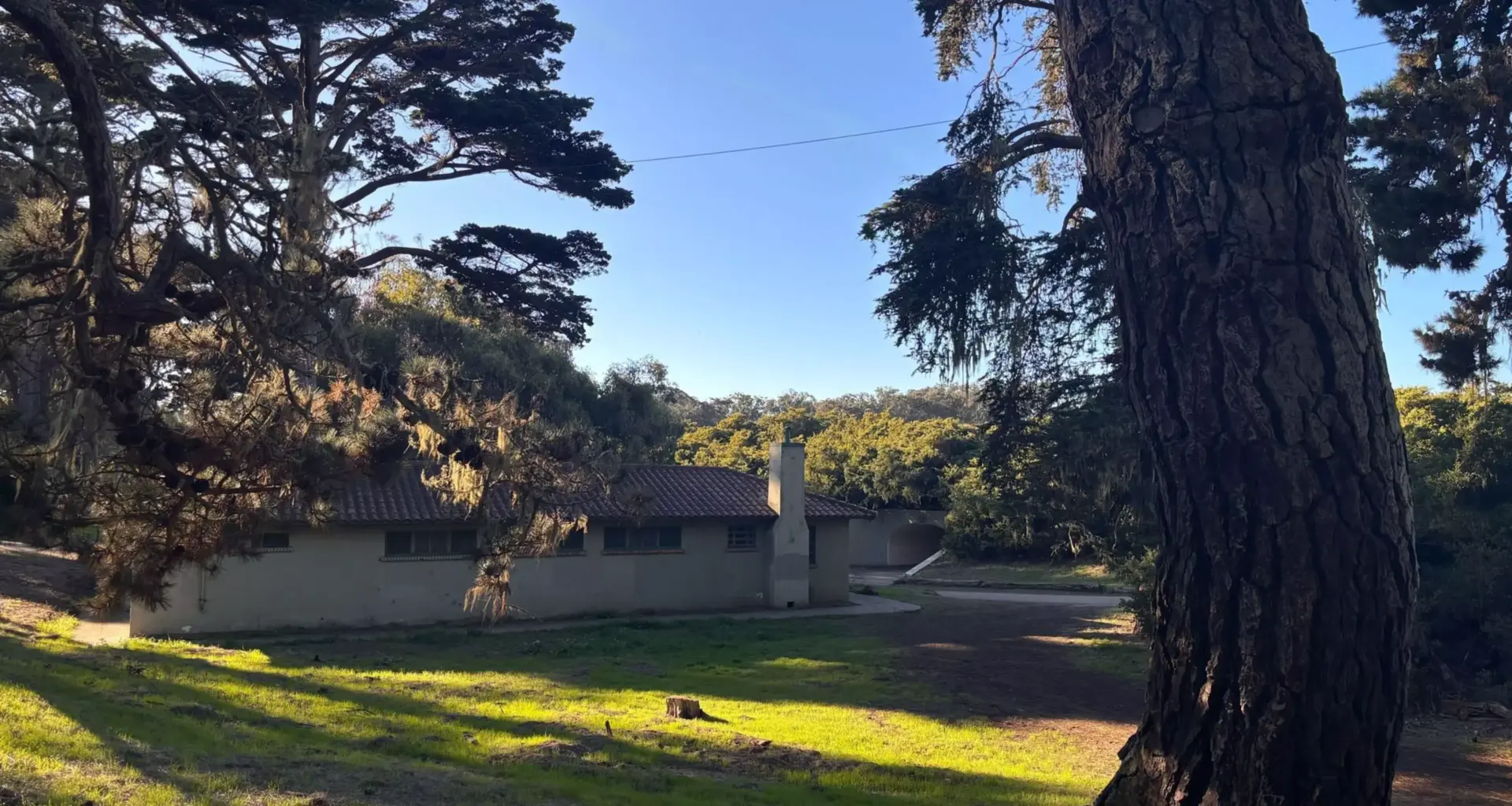 The San Francisco Standard