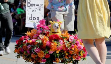 Costumed pups take over Long Beach for annual Haute Dog Howl’oween Parade – Press Telegram
