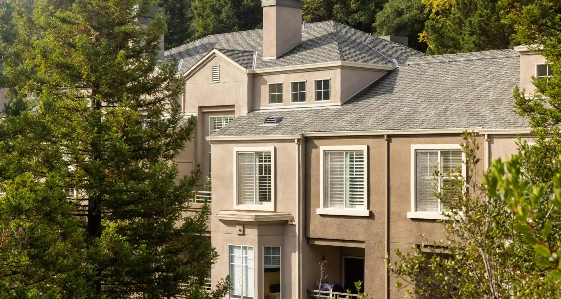 The San Francisco Standard