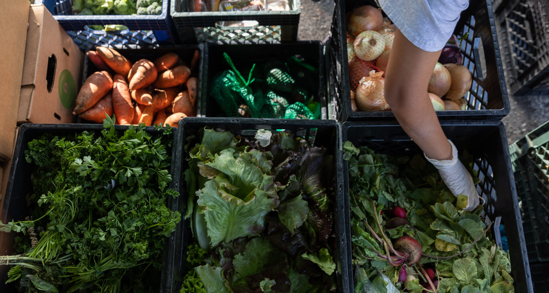 As SNAP benefits lapse, here's where to get or donate food in Silicon Valley