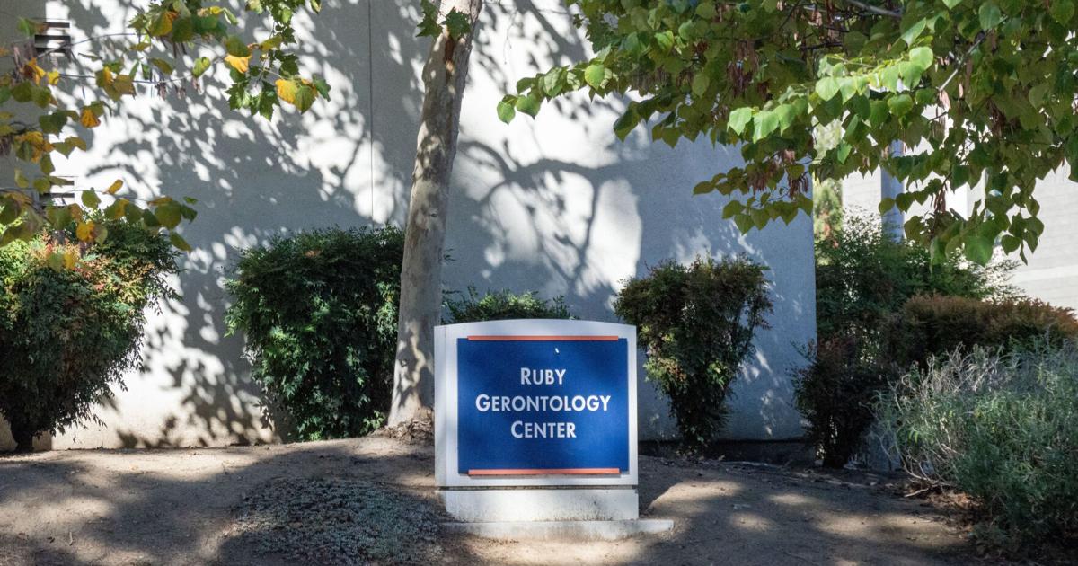 Osher Lifelong Learning Institute to face relocation | News