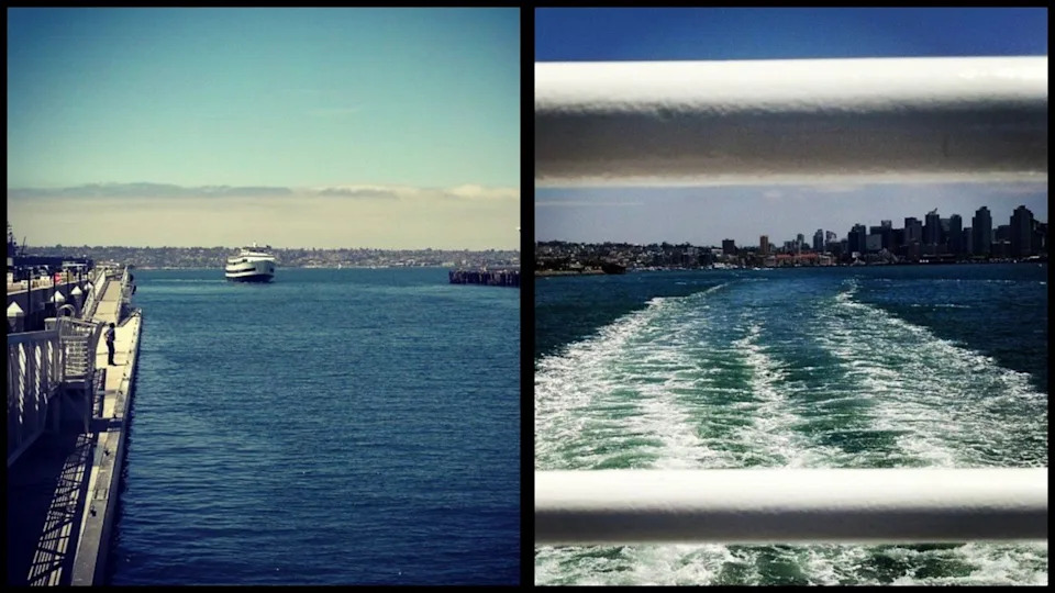 Image Credit: Marianne Paluso