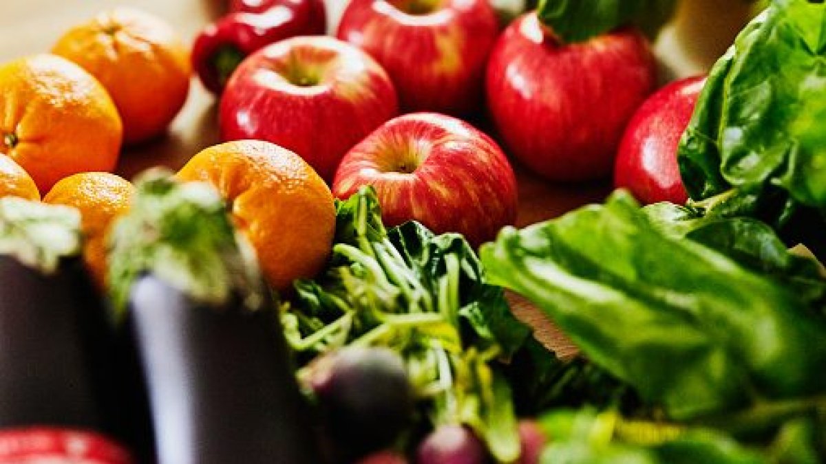 Resources available for San Diego community college students in need – NBC 7 San Diego